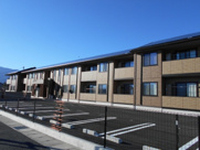 タートルドエルの画像