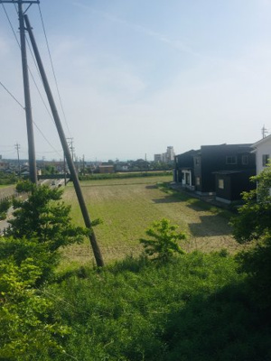 【展望】 | ビオラ桜井A