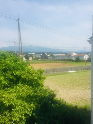 【展望】 | ビオラ桜井A