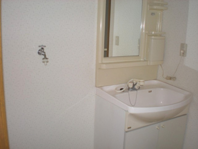 【洗面所】 | アピオン前九年Ⅰ | シャンプードレッサー付き洗面台　洗濯機置場