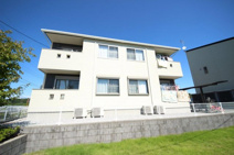 コスモスⅡの画像