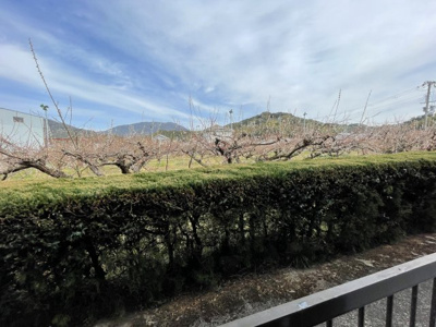 【展望】 | 紀南五月マンション