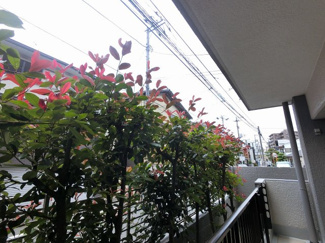 【展望】 | １階部分からの眺望です。