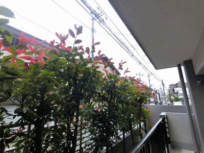 【展望】 | サンコーポラス等々力 | １階部分からの眺望です。