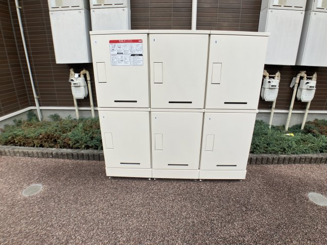 プリムラプレッソ