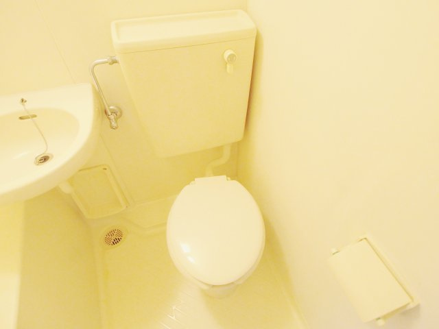 カーサ南大正のトイレ