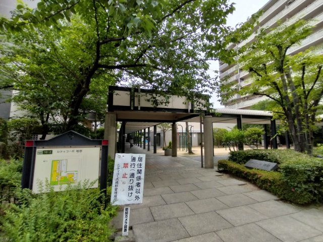 シティコーポ鴫野2号棟の周辺|緑もあり綺麗なエントランスです。