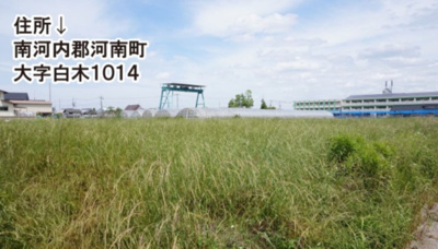 【外観】 | 南河内郡河南町大字白木　売り土地