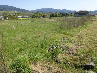 【その他】 | 南河内郡河南町大字白木　売り土地
