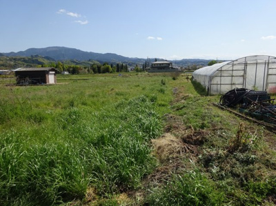 【その他】 | 南河内郡河南町大字白木　売り土地