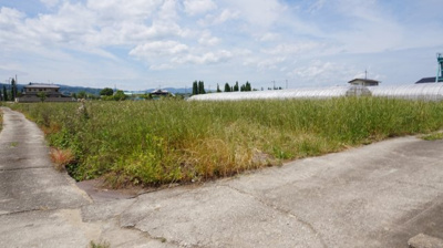 【前面道路含む現地写真】 | 南河内郡河南町大字白木　売り土地