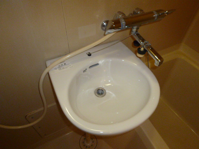 エルディム明日香の洗面所