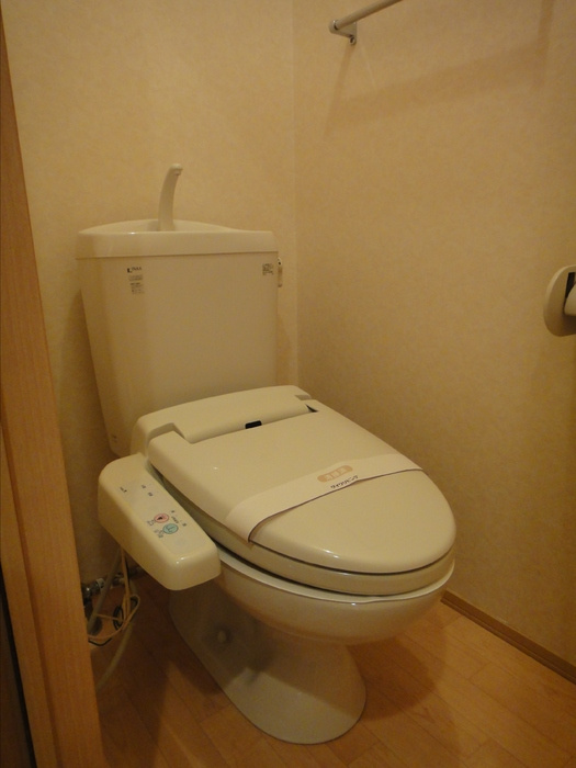 グレイス藤並 B棟のトイレ