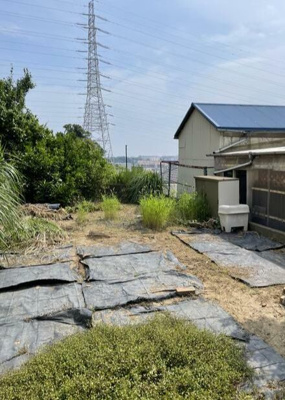 【展望】 | ウインドヒルｋ