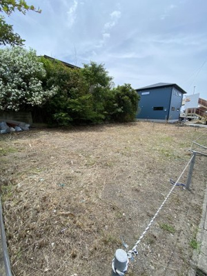 【外観】 | 高柳一丁目売地 | 隣地越境樹木は近日中に伐採予定です。