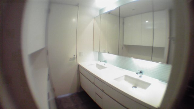 港区六本木３丁目の賃貸マンションのその他|洗面