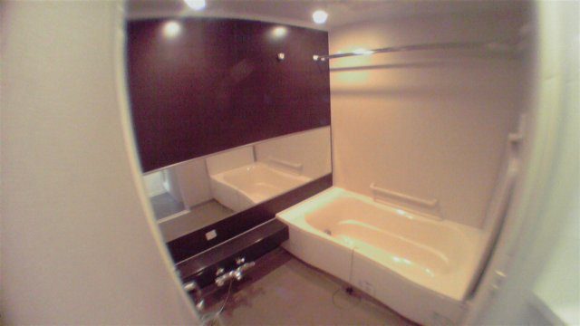 港区六本木３丁目の賃貸マンションの浴室