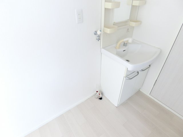 阪口ハイツの洗面所