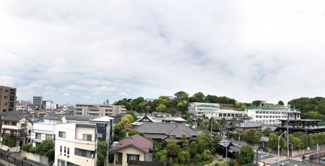 【展望】