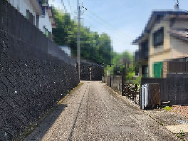 香南市野市町東佐古の前面道路含む現地写真