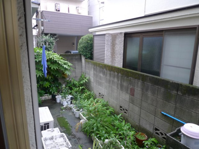 【展望】 | MIYUKI