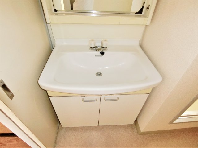 エルム大網の独立洗面台