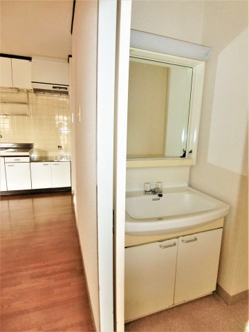 エルム大網の洗面所