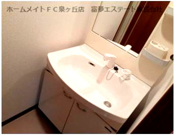 【洗面所】 | フジパレス式内町Ⅲ番館 | 広い洗面スペース