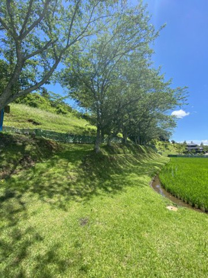 【外観】 | 矢那売地