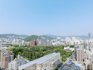 【展望】