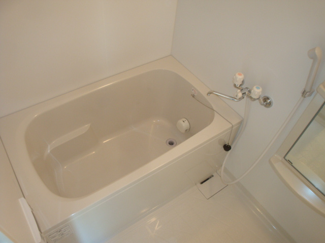 ビューテラス売布Ⅲ（View Terrace 売布Ⅲ）の浴室