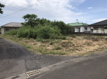 鹿屋市新生町　売地の画像