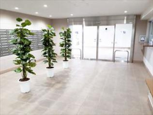 豊中市西緑丘３丁目の中古マンションのエントランス