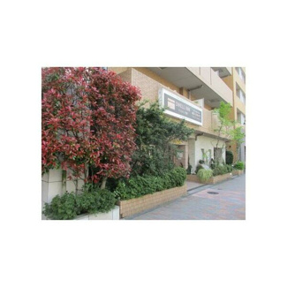 【駐車場】 | ドエルイン月島