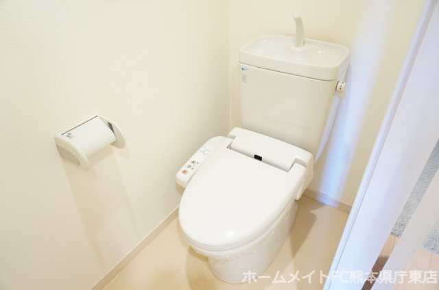 熊本市中央区水前寺公園の賃貸マンションのトイレ