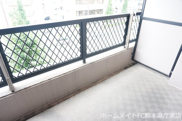 熊本市中央区水前寺公園の賃貸マンションのバルコニー