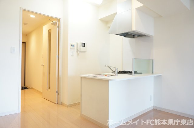 熊本市中央区水前寺公園の賃貸マンションの居間・リビング