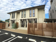 チェルシーの画像