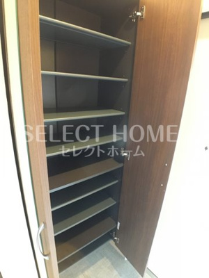  | チェルシー
