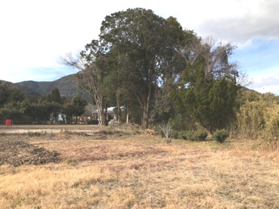 【外観】 | 姶良郡湧水町川西