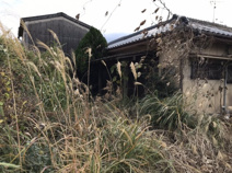 霧島市福山町福山の画像