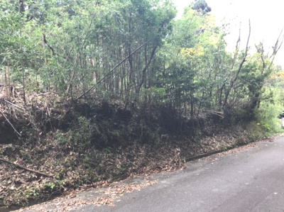 【外観】 | 霧島市霧島田口
