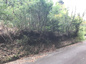 霧島市霧島田口の画像