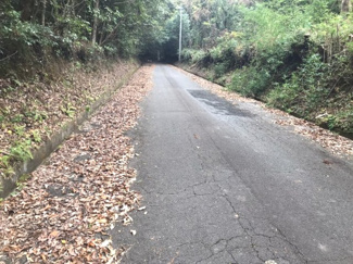 【前面道路含む現地写真】 | 霧島市霧島田口