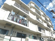 サンモールチョウフの画像