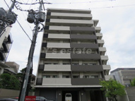 アンギンルマの画像