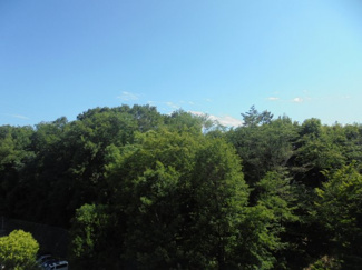【展望】 | お部屋からの眺望、前面棟なしで日当たり眺望良好
