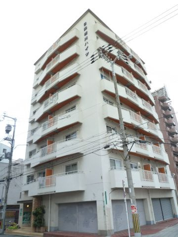 日興桜川ハイツ