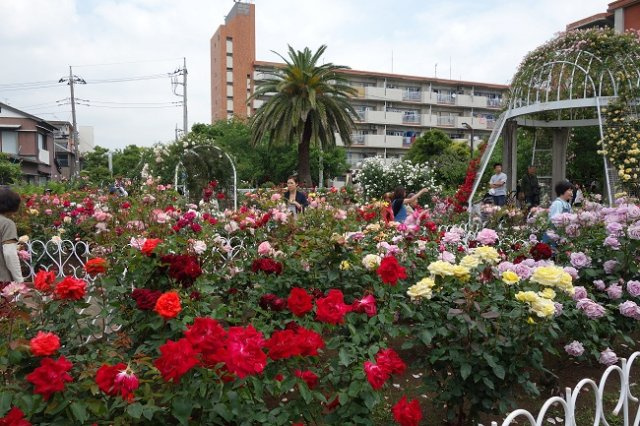 第２竹雪コーポのその他|青和バラ公園