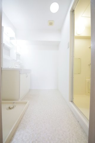 カーサJINの洗面所